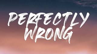 Shawn Mendes  Perfectly Wrong Lyrics 1 Hour [upl. by Erroll]