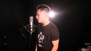 quotSkyscraperquot Demi Lovato  Jason Chen x NineDiamond Cover [upl. by Noyerb]