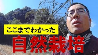 自然栽培の最先端を解説！自然はすごかった。。 [upl. by Noyad386]