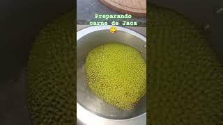 carnedejaca vegetariana vegana shortvideo dojeitoqueopovogosta food reflexão [upl. by Kimmel386]