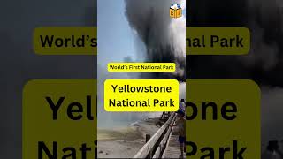 Recent viral video of Geyser eruption in Yellowstone national park nature [upl. by Ainatit778]