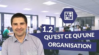 Chapitre 1  Quest ce quune organisation 23  Management Bac STMG  digiSchool [upl. by Zimmermann]