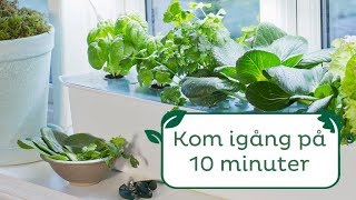 Kom igång på 10 minuter – hydroponisk odling med Harvy [upl. by Alyekahs]