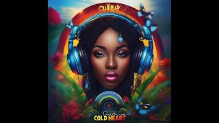 Cold Heart Riddim Feat Busy Signal Christopher Martin Richie Spice dj exray 2024 latest [upl. by Akcinahs]