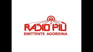 Se Desmonteghea 2024 in diretta da Falcade  I gruppi folk [upl. by Catton28]