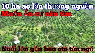 đã bán10 ha ao lớn thượng nguồsuối lớn gần bên cà phê tiêu tốt tươi um tùm trồng sầuriêng càng vip [upl. by Ailegave]