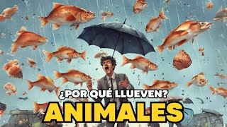 ¿Es cierto que llueven sapos y culebras La LLUVIA de ANIMALES un fenómeno INCREÍBLE ☂️🐸🐟 [upl. by Londoner]