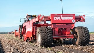 GRIMME RL 400  windrower for potatoes [upl. by Haneekas39]