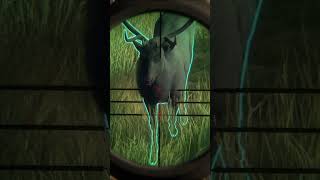 OMG Almost Messed Up a Beautiful Melanistic Elk in the Hunter Call of the Wild [upl. by Brahear]