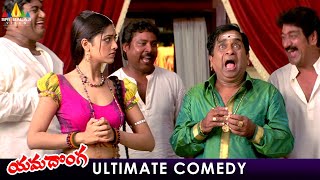 Brahmanandam amp Mamta Mohandas Ultimate Comedy  Yamadonga Telugu Movie Scenes  Jr NTR Rajamouli [upl. by Tessy623]