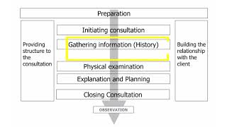 Vet Consultation method  Taking History  Calgary cambridge consultation model [upl. by Kama475]