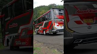 bus telolet Amanah wisata bustelolet basuri busmania [upl. by Kire424]