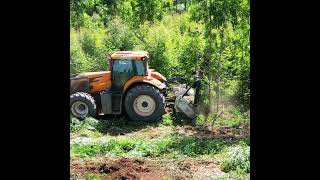 The FAE UMMDT forestry mulcher is hard at work converting a forest area [upl. by Yevrah]