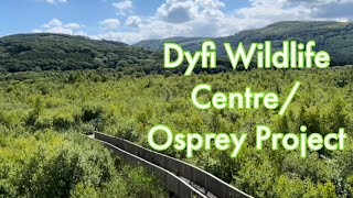 Dyfi Wildlife CentreOsprey Project [upl. by Allister549]