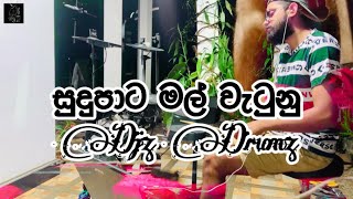 ▪️Sudupata Mal Wetunu  සුදුපාට මල් වැටුනු  🥢 Cover [upl. by Neelyahs]