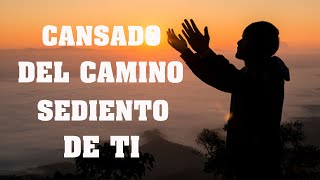 Mezcla De Alabanzas De Adoracion Mix  Musica Cristiana Sumergeme quotCansado del Caminoquot amp Mas Exitos [upl. by Nishom]