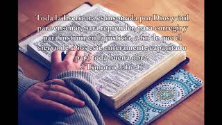 Musica para leer la Biblia  Instrumental cristiana que transmite Paz [upl. by Porett635]