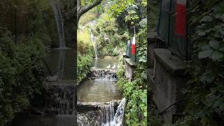 Positano Italy 🇮🇹 amalficoast travelvlog roadside nature [upl. by Jamieson]