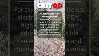 Asystole and PEA Management [upl. by Ahcsap]