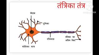 huaman tantrika tantra [upl. by Ariaes]