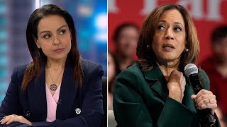 Lefties losing it Kamala’s ‘reckless’ and ‘disgusting’ antiTrump rhetoric [upl. by Akkahs221]