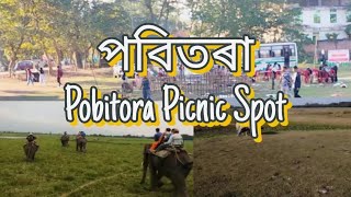 পবিতৰা Pobitora Picnic Spot [upl. by Wilmer415]