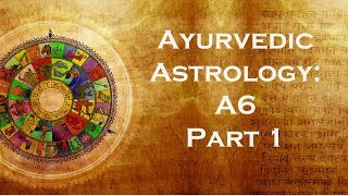 A6  Ayurvedic Astrology Part 1  West Coast SJC Conference 2005 [upl. by Nerot]