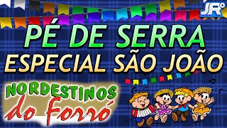 Pé de Serra  Especial São João  Nordestinos do Forró [upl. by Herodias989]