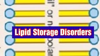 Lipid Storage Disorders Lipidosis Biochemistry [upl. by Silevi]