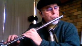 quotKilling Me Softly With His Songquot  flute solo [upl. by Tilney]