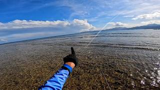 Shallow Water Wonders Discovering Hidden Fishing Spots Popping in Palawan  Fishing in Palawan [upl. by Barrie]