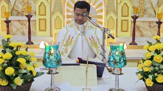 Sunday Holy Mass December 10 I 530 AM I Malayalam I Syro Malabar I Fr Bineesh Augustine [upl. by Ninnetta79]