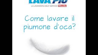 Come lavare un piumino doca [upl. by Euqinommod437]