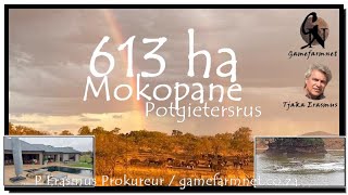 613 ha Potgietersrus Mokopane Vyfster wildplaas te koop [upl. by Dnomrej]