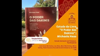 Estudo do Livro quotO Poder das Dakinisquot de Michaela Haas  15 [upl. by Halihs]