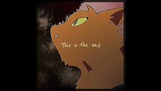 DIGITAL SILENCE SSS WARRIOR CATS EDIT  warriorcats ssswarriorcats warriorcatsedit edit [upl. by Iow904]