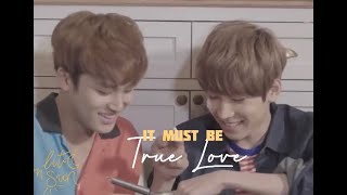 Meanie FMV Mingyu ✘ Wonwoo ► True Love [upl. by Worlock]