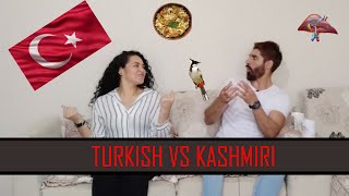 Kashmiri Language Vs Turkish Language [upl. by Martz]