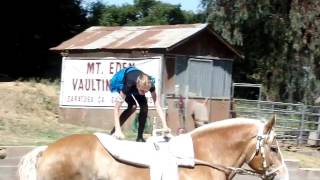 Alice Freestyle at Garrods Farm May 21 2017 [upl. by Aicelet]