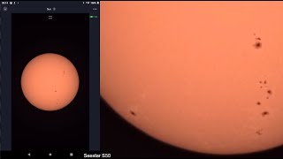 Sunspots 38063814  Seestar S50  Pompey Observatory  5 September 2024 [upl. by Massab]