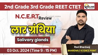 लार ग्रंथियाSalivary glands  NCERT Review  by Ravi Bhardwaj Sir  science [upl. by Aznofla723]