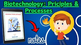 Biotechnology principles and processes  Class 12th Biology ch 9 Best NOTES  Edustudypoint [upl. by Petrina]