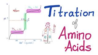 Titration of Amino Acids  pH pKa1 and pKa2  Isoelectric Point Amino Acids Part 4 [upl. by Cloutman]