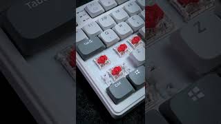 Royal Kludge RK N80 LowProfile Keyboard Sound Test [upl. by Klimesh384]