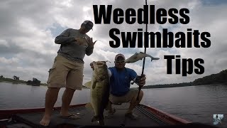 Bass Fishing w Weedless Swimbaits Tips and Techniques [upl. by Cris]