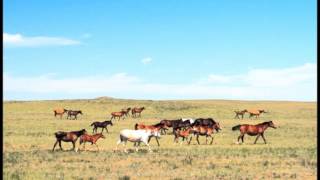 Köroğlu  Kazakistan  İrfan Gürdal [upl. by Atalee]