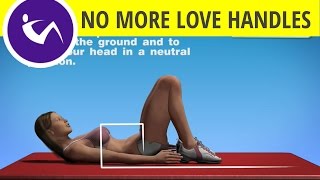 Exercise For Love Handles Alternate Heel Touches [upl. by Benedic24]