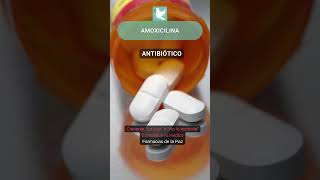 Amoxicilina  Sustancias en medicinas indicaciones y efectos secundarios PLM medicamentos [upl. by Anyaled748]