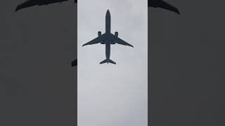 Turkish Airlines Boeing 7773F2ER TCJJV Approaching to Miami from Istanbul as TK77 shorts [upl. by Ul604]