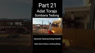 Part 21 Adat Suku Toraja Somba Tedong sukutoraja torajaunik shorts [upl. by Myer761]